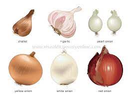 Food Kitchen Food Vegetables Bulb Vegetables 2 Image Visual Dictionary Online Vegetables Vegetable Pictures Food