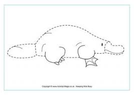 Platypuses The oval doesn't need to be perfect. platypuses