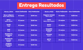Por este año, y para facilitar el trámite a los estudiantes, no será requisito estar matriculado en la entidad definitiva. Junaeb Edenred 2020