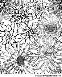 The article includes the most popular flowers found across the world with some factual information. Flower Coloring Pages Advanced Coloring Home