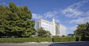 Offering a bar, a satellite tv and entertainment activities, best western hotel continental udine is located 2.9 km away from patriarchal palace. Best Western Park Hotel Continental San Dona Di Piave Venedig Buchen Sie Jetzt
