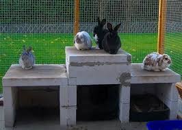 Gartengehege Bauen Kaninchengehege Kaninchen Aussengehege Kaninchen