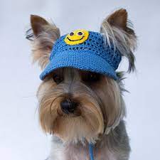 Dog S Baseball Cap Smiley Dog Visor Hats For Etsy In 2021 Dog Hat Knit Dog Hat Crochet Dog