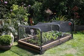 Bird Netting For Garden Near Me Ways To Keep Squirrels Out Of Your Garden Garden Netting Garden Enclosure Ideas Garden Beds