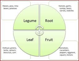 Garden Crop Rotation A Simple System