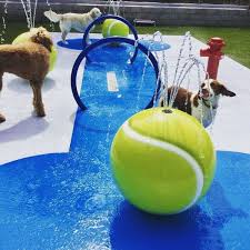 Maybe you would like to learn more about one of these? 34 Simple Diy Playground Ideas For Dogs Home Design And Interior Dog Playground Dog Daycare Dog Daycare Business