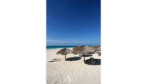 Is this your tripadvisor listing? Be Live Adults Only Los Cactus Westjet Official Site