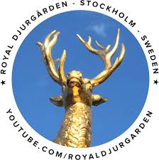 Similar designs more from this artist. Download Logo Royaldjurgarden Royaldjurgarden Royal Djurgarden Not Our Abilities But Our Choices Full Size Png Image Pngkit