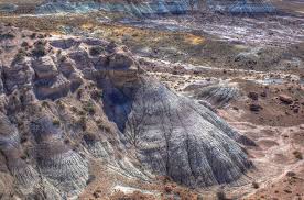 Check spelling or type a new query. Rv Camping Near Petrified Forest National Park Cruise America