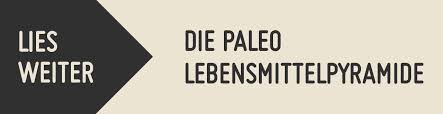 Kalium liegt fast ausschließlich innerhalb von körperzellen vor. Paleo Lebensmittel Paleo360 De