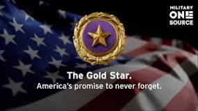 Image result for what is a "gold star" in the military?
