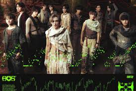 Image result for Cynorkis symoensii