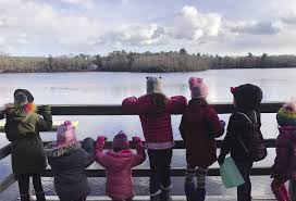 GSSNE 2020 Annual Report