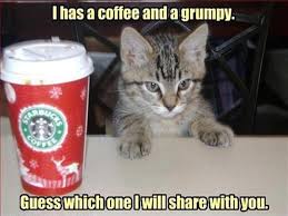 Funny cat memes, cute cats, hilarious kitten videos and more. Funny Cat Memes 2020 Clean Nuevo Meme 2020