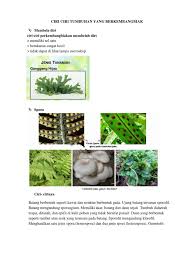 Nah, umbi akar merupakan cara perkembangbiakan secara alami. Ciri Ciri Tumbuhan Yang Berkembangbiak