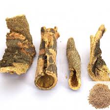 The bark, seeds, flowers, and leaves of the tree are widely used for managing various health conditions, but derivatives like ashoka powder and extracts are also popular. Buy Naval Pattai Online Buy Naval Pattai Online At Nmkonline Com