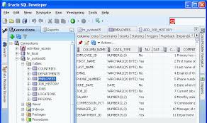 Sql Developer Concepts And Usage