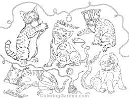 Terms of use these coloring pages are for personal use only. Cute Kittens Adult Coloring Page