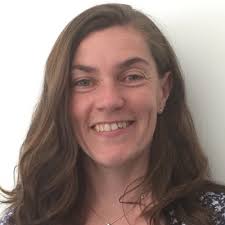 Cllr David A Howes (@CllrDavidHowes)