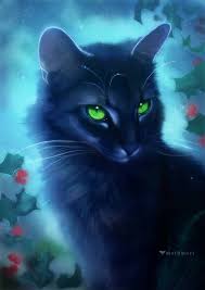 My little sister sam turned 10 in june. Hollyleaf By Https Www Deviantart Com Mothmori On Deviantart Warrior Cats Fan Art Warrior Cat Drawings Warrior Cats Art