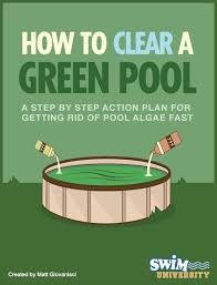 Turn your green algae pool blue again in two hoursfrom the hot florida sun, ton's of rain and my oak tree over head i get an algae bloom in my intex above gr. How To Get Rid Of Algae In Your Pool Pool Algae Green Pool Water Swimming Pool Algae