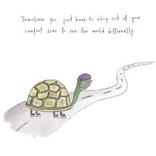 Portraits Of The Unsure Turtle Quotes Tortoise Quote Inspirational Words
