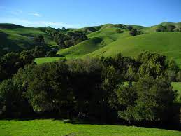 Briones park, part of the east bay regional park district (east of san francisco). Briones Regional Park Wikipedia