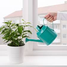 Socker Giesskanne Drinnen Draussen Turkis In 2020 Giesskanne Ikea Socker Ikea