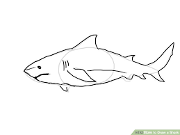 Check spelling or type a new query. How To Draw A Shark Step By Step For Beginners