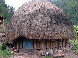 77 Gambar Rumah Adat Provinsi Papua Rumah Honai Hd Terbaik Nha San Kiến Truc Sư Thế Giới