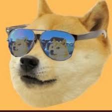 Much wow snowslash found pic of u by themcrau1. Doge Nuts On Twitter Dollars Soon