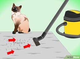 Learn how to reduce and remove pesky dog and cat fur more easily from clothes and upholstery. How To Clean Up Cat Hair 11 Steps With Pictures Wikihow
