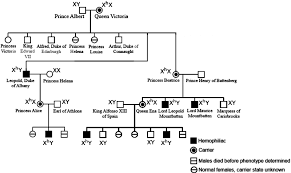 File Victoria Pedigree Carriers Png Wikimedia Commons