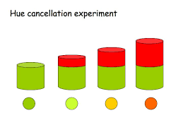 Perception Lecture Notes Color