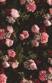 We did not find results for: Pink Black Dark Moody Floral Pattern Wallpaper Mural Hovia Uk Floral Pattern Wallpaper Flower Aesthetic Floral Wallpaper Iphone