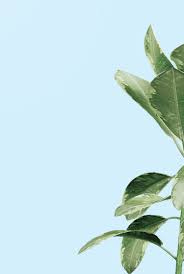 You will have to ask kaiser how much they charge for that test. Kaiser Permanente