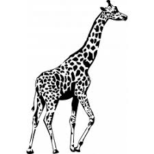 Animaux De La Savane Decolia Décorez vos pièces avec des animaux de la savane mais aussi de contrées encore plus lointaines. animaux de la savane decolia