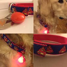 pin auf dog leash