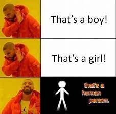 Monet • last updated 2 weeks ago. Just Made An Account To Post This Non Binary Meme I Made Nonbinarymemes