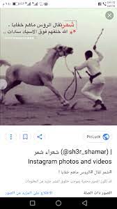 أفهود شمر السناعيس الطنايا أفهود شمر السناعيس الطنايا