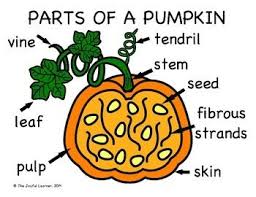 diagram of pumpkin parts reading industrial wiring diagrams