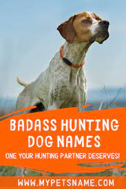 Badass Hunting Dog Names In 2021 Hunting Dog Names Dog Names Boy Dog Names
