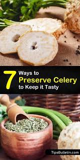 Wrap and store extras in the fridge. 7 Ways To Preserve Celery To Keep It Tasty