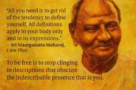 Questioner: Why did I take this form? Maharaj: Because you were a fool. If  you had known anything about it, you would not have come into this world.