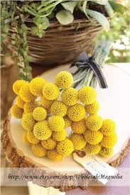 я пришел к тебе с приветом рассказать что солнце встало Billy Ball Bunches Crespedia Etsy Billy Balls Dried Flowers Fall Floral