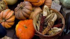 Harvest Day Market