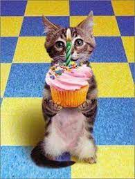 Kitten With Cupcake Happy Birthday Funny Birthday Greetings Funny Happy Birthday Mom Meme