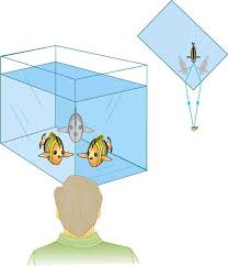All waves will reflect and refract in the right circumstances. Reflection Refraction And Dispersion Boundless Physics