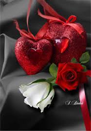 Coracoes Alado Belissimo Beautiful Roses Love Wallpaper Red Roses Wallpaper