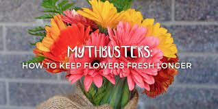 Susan hamilton september 1, 2019 i love the fresh flowers from my garden so much that often i can't let them go at the end of the growing choose plants with long stems and remove the lower leaves. Mythbusters How To Keep Flowers Fresh Longer Fresh By Ftd